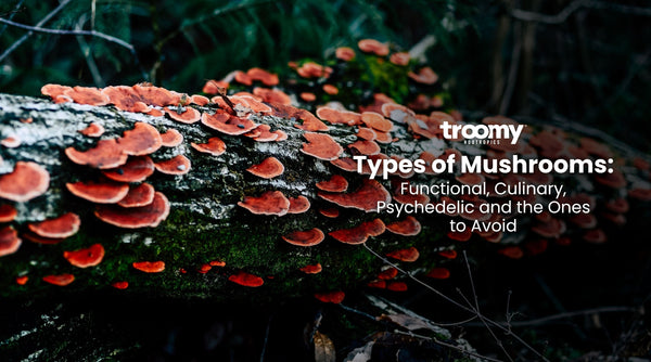 types of mushrooms