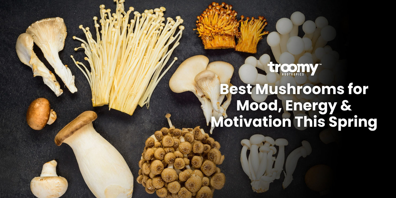 mushrooms for energy