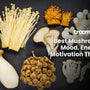 mushrooms for energy