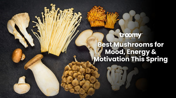 mushrooms for energy