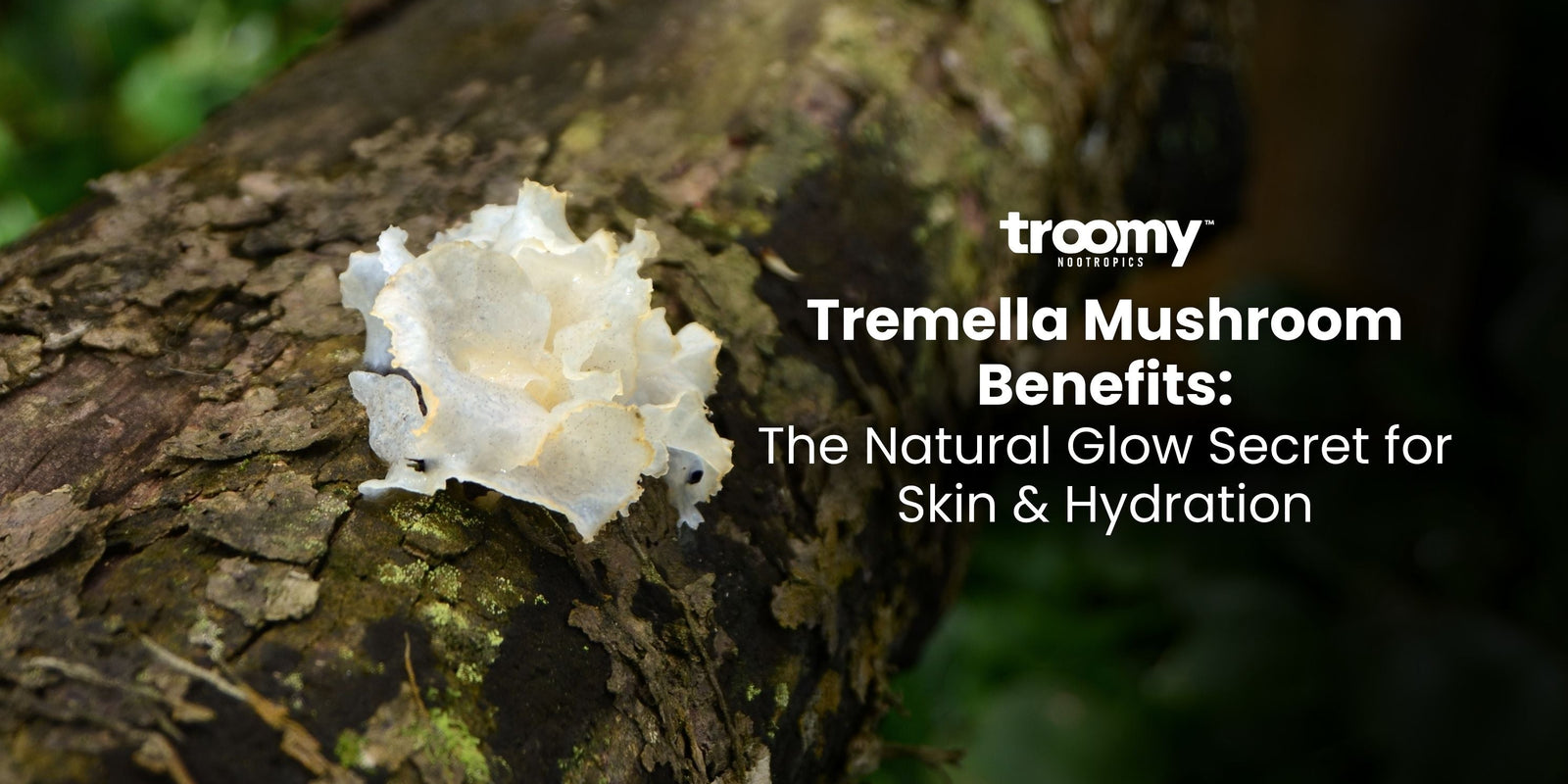 Tremella Mushroom Benefits: The Natural Glow Secret for Skin & Hydration