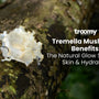 Tremella Mushroom Benefits: The Natural Glow Secret for Skin & Hydration