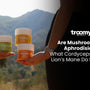 are mushrooms an aphrodisiac