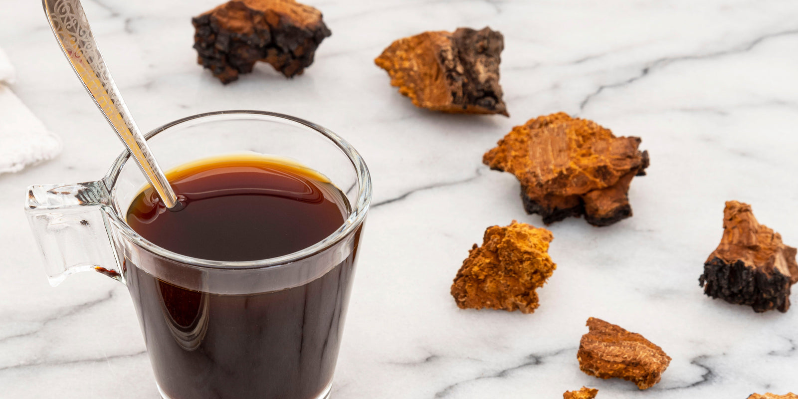 Chaga Mushroom Supplements -Functional Mushrooms  - Nootropics - Adaptogens - Health benefits - Holistic Wellness  - Troomy Nootropics in Whittier, CA