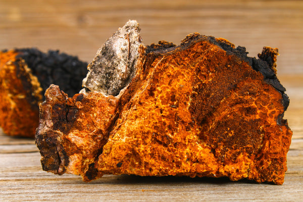 Chaga Mushroom - Functional Mushrooms  - Health benefits - Holistic Wellness -  Energy - Sleep - Mood Balance - Brain Health - Lion’s Mane - Reishi - Cordyceps - Troomy Nootropics in Whittier, CA