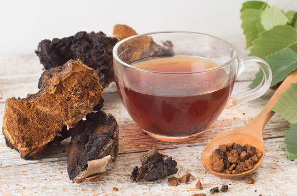 Chaga Mushroom Tea - Functional Mushrooms  - Nootropics - Adaptogens - Health benefits - Holistic Wellness  - Troomy Nootropics in Whittier, CA