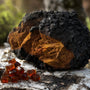 Chaga Mushroom Benefits