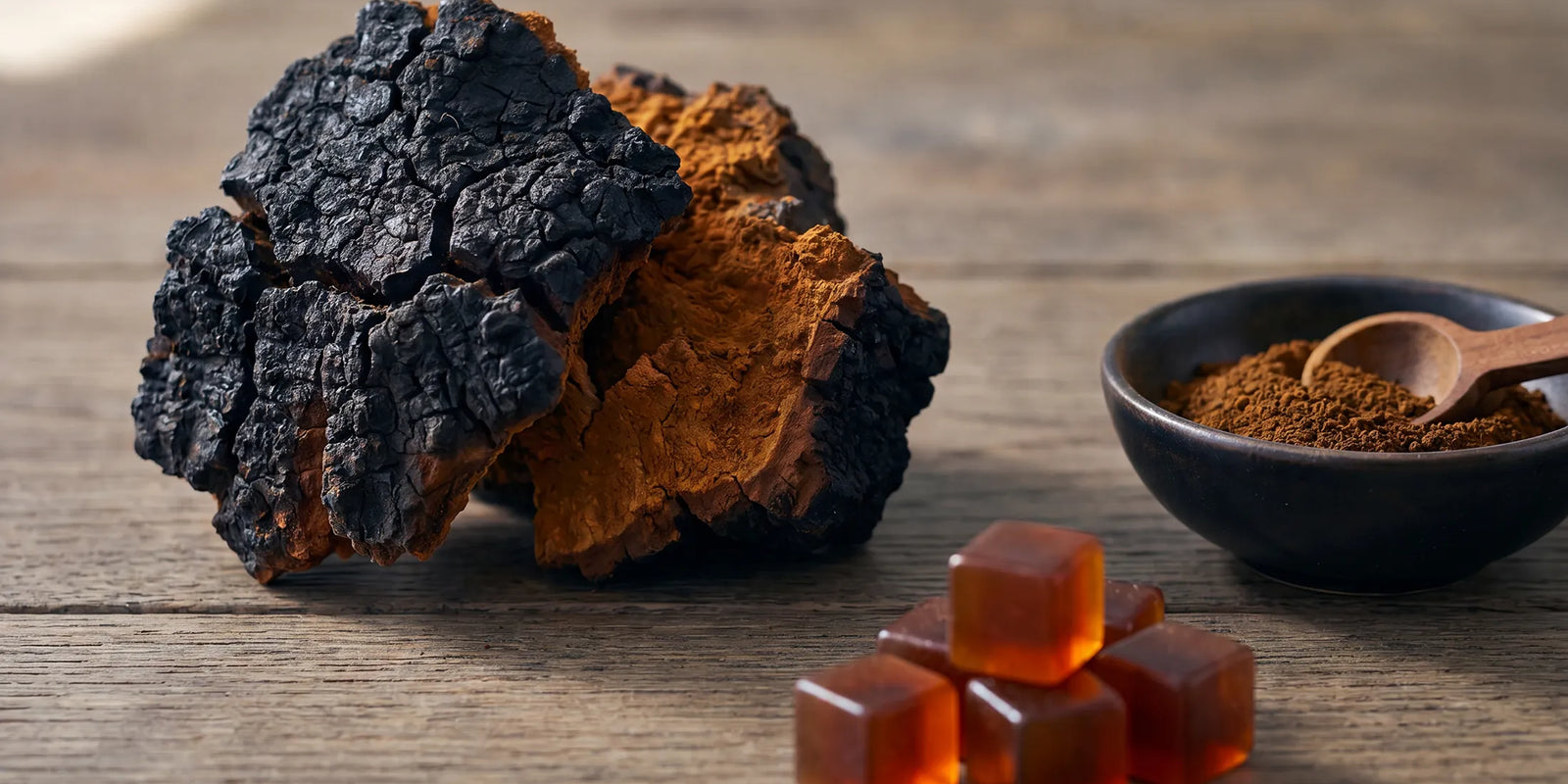 Chaga Mushroom Dosage
