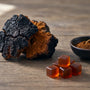 Chaga Mushroom Dosage