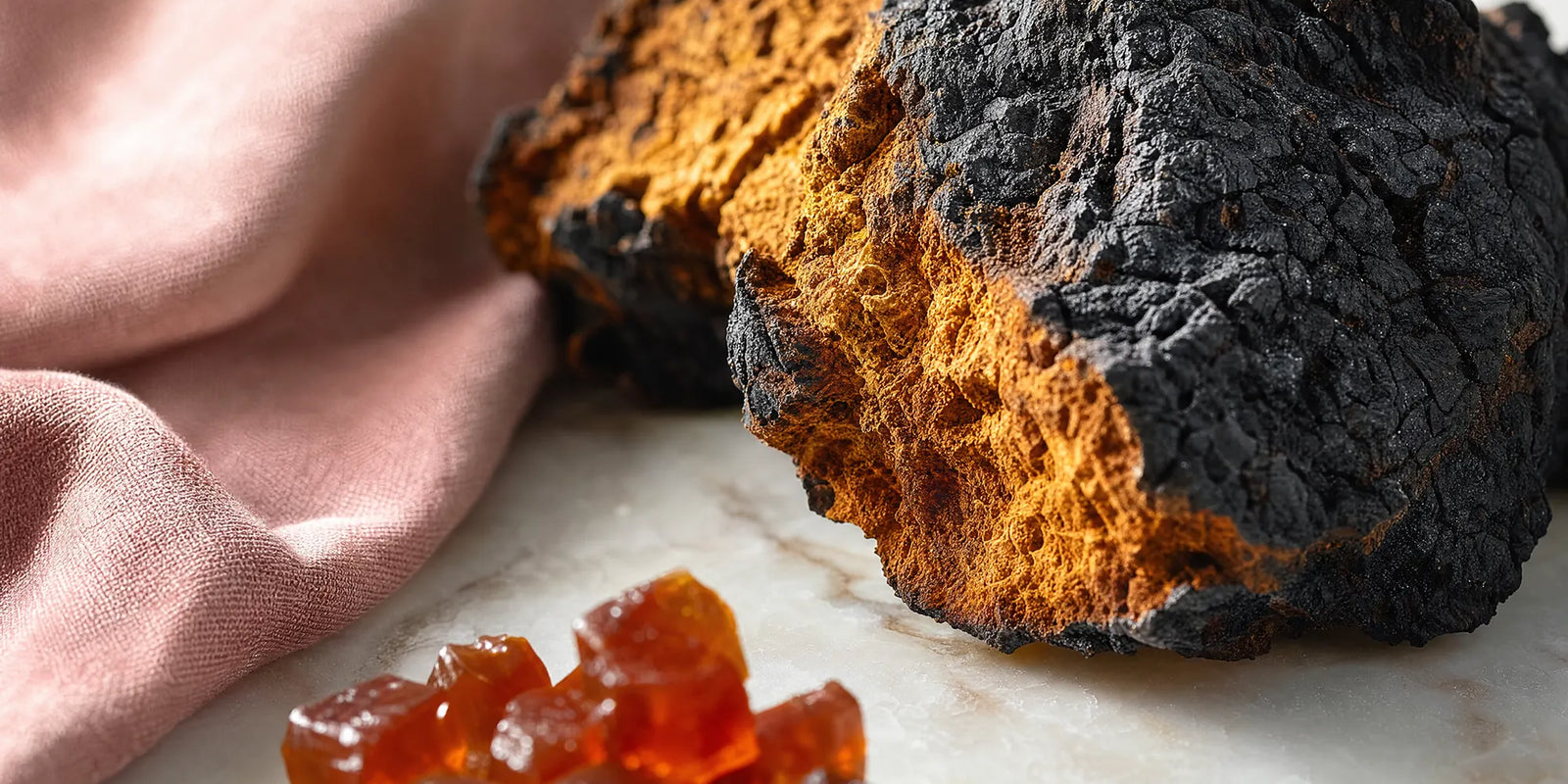 Chaga Mushroom Skin Benefits