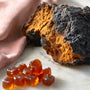 Chaga Mushroom Skin Benefits