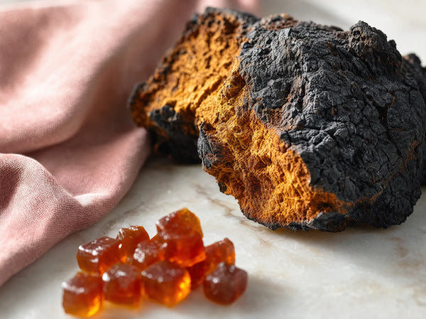 Chaga Mushroom Skin Benefits