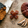 Chaga vs Reishi