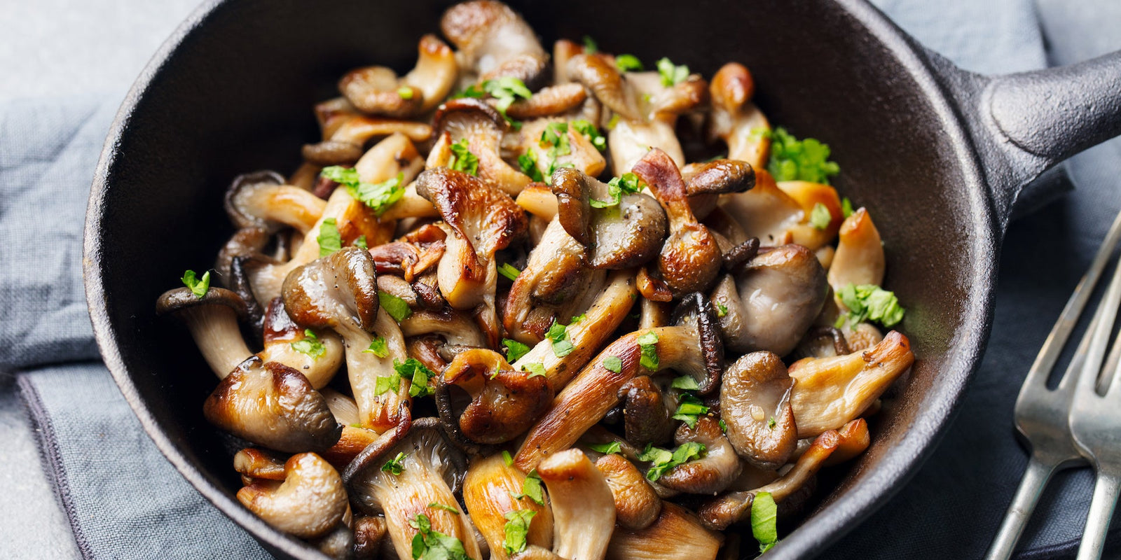 Mushroom Recipes - Seasonal Recipes - Health - Healthy Eating - Dinner Ideas - Troomy Nootropics in Whittier, CA