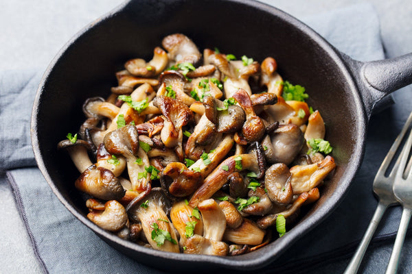 Mushroom Recipes - Seasonal Recipes - Health - Healthy Eating - Dinner Ideas - Troomy Nootropics in Whittier, CA
