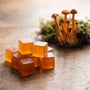 Cordyceps Dosage