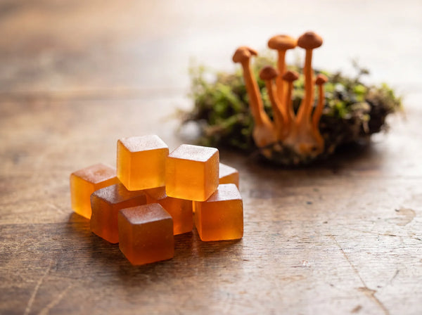 Cordyceps Dosage