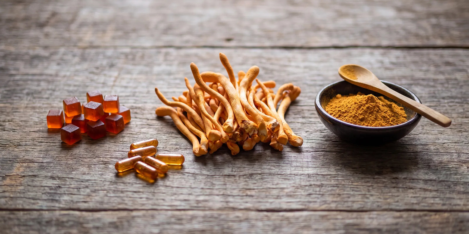 Cordyceps Gummies vs Capsules vs Powder