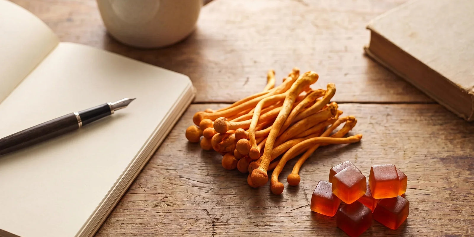 Do Cordyceps Help with Motivation? Energy, Focus and Drive Explained