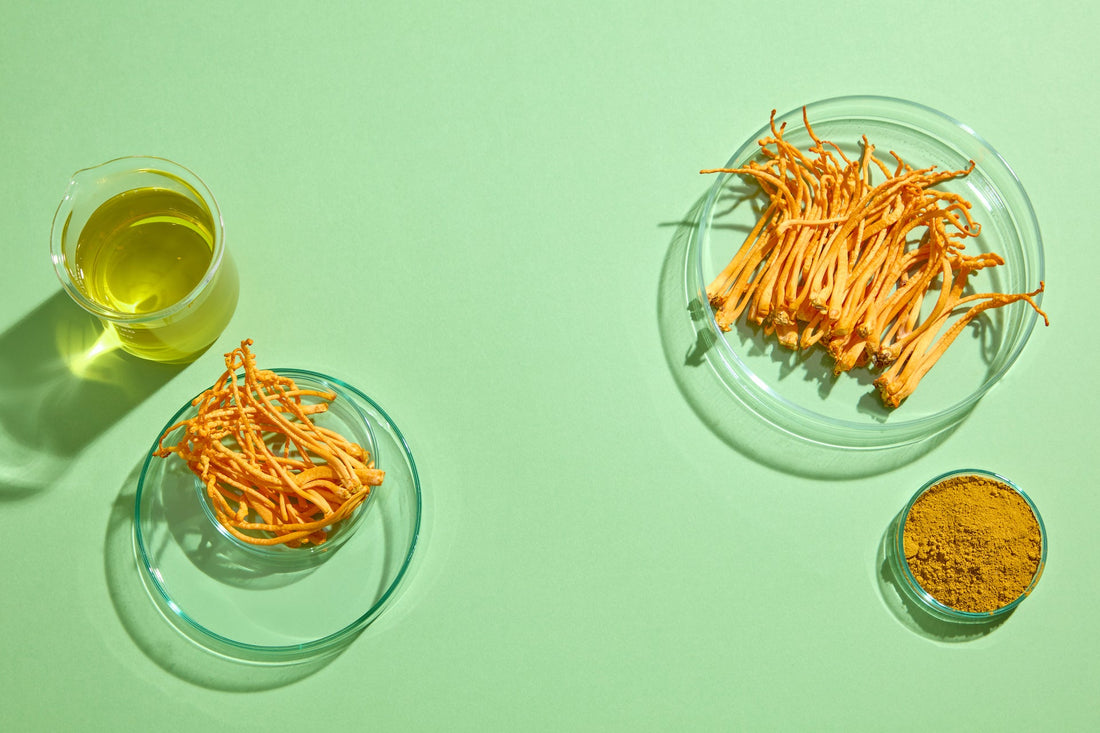 Cordyceps Mushroom - Energy Support - Workout Focus - Natural Energy - Pre Workout -Lemon Lime - Troomy Nootropics in Whittier, CA