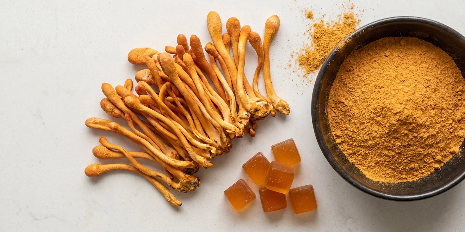 Cordyceps Mushroom