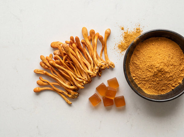 Cordyceps Mushroom