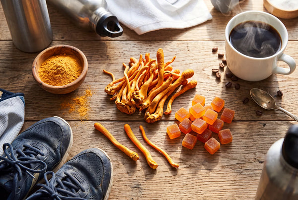 Cordyceps Mushroom Benefits for Energy and Motivation