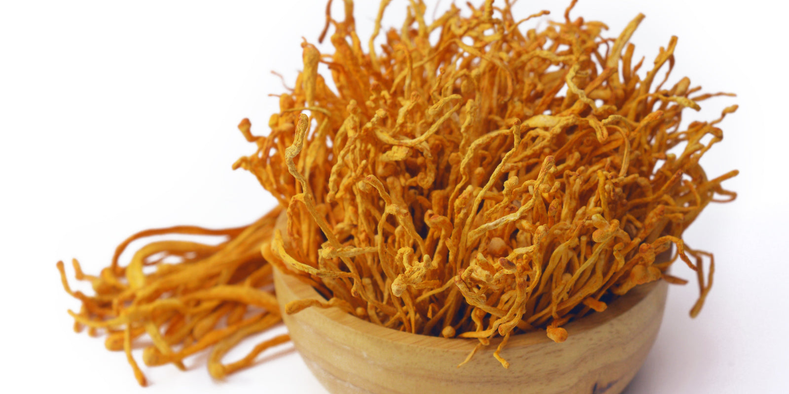 Cordyceps Mushroom - Energy Support - Workout Focus - Natural Energy - Pre Workout -Lemon Lime - Troomy Nootropics in Whittier, CA