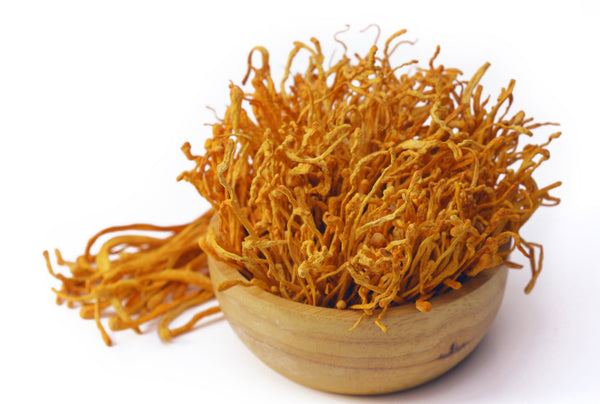 Cordyceps Mushroom - Energy Support - Workout Focus - Natural Energy - Pre Workout -Lemon Lime - Troomy Nootropics in Whittier, CA