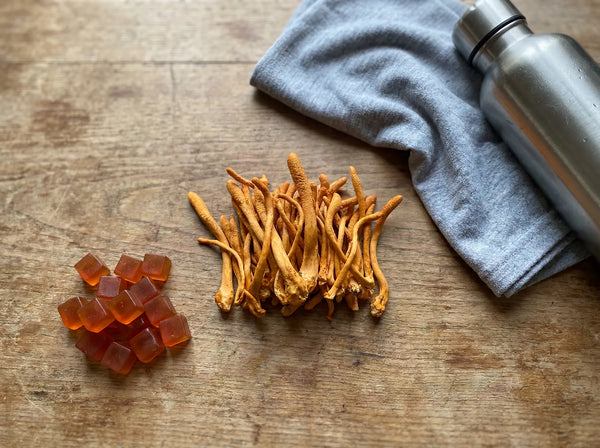 Cordyceps for Athletes