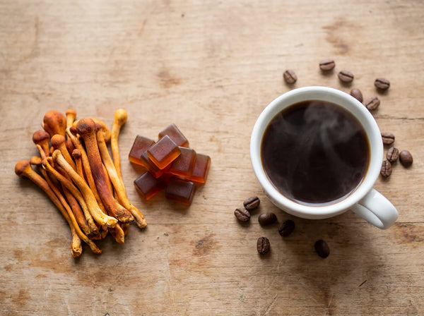 Cordyceps for Energy