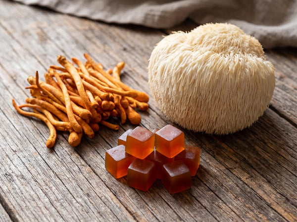 Cordyceps vs Lion’s Mane