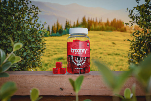 Functional Mushrooms  - Health benefits - Holistic Wellness -  Energy - Sleep - Mood Balance - Brain Health - Lion’s Mane - Reishi - Cordyceps - Troomy Nootropics in Whittier, CA