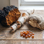 False Chaga