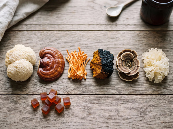 Functional Mushrooms