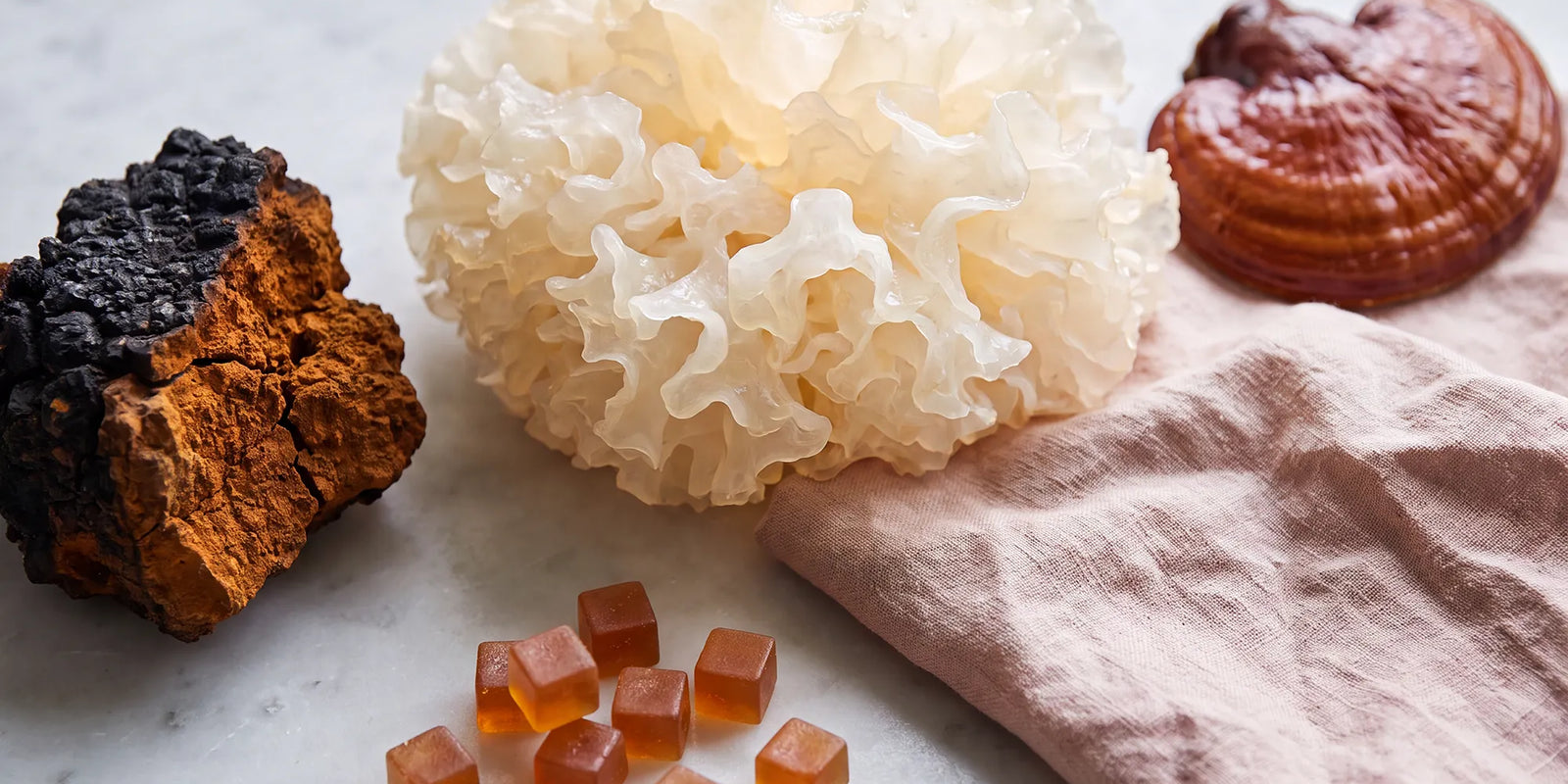 Functional Mushrooms for Anti-Aging