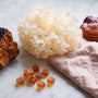 Functional Mushrooms for Anti-Aging