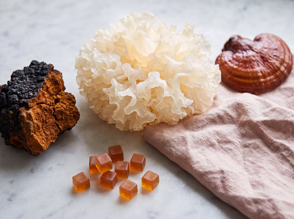 Functional Mushrooms for Anti-Aging