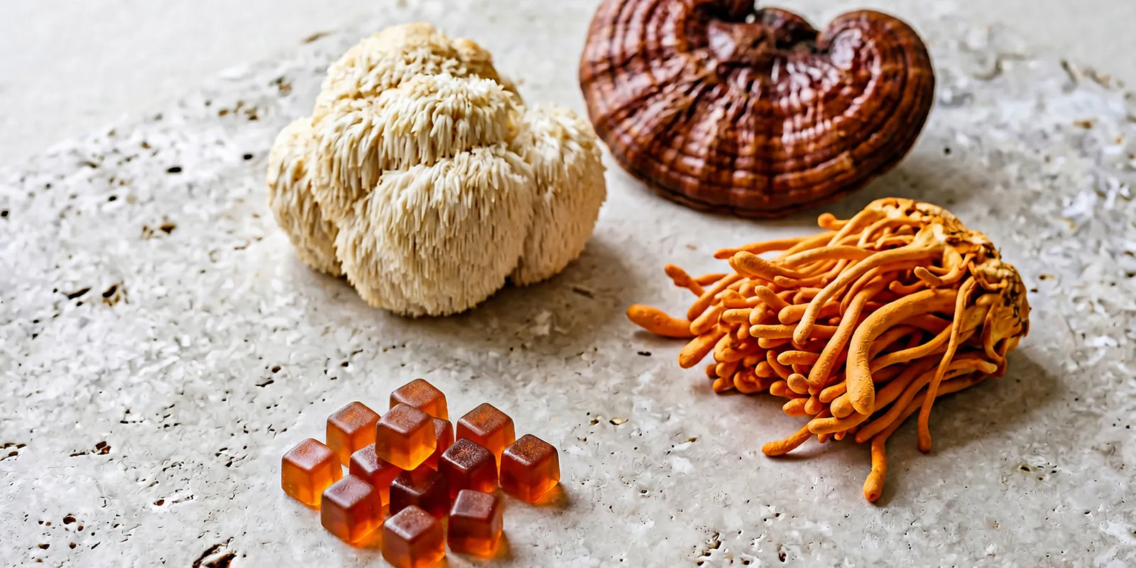 Functional Mushrooms vs Psychedelic Mushrooms