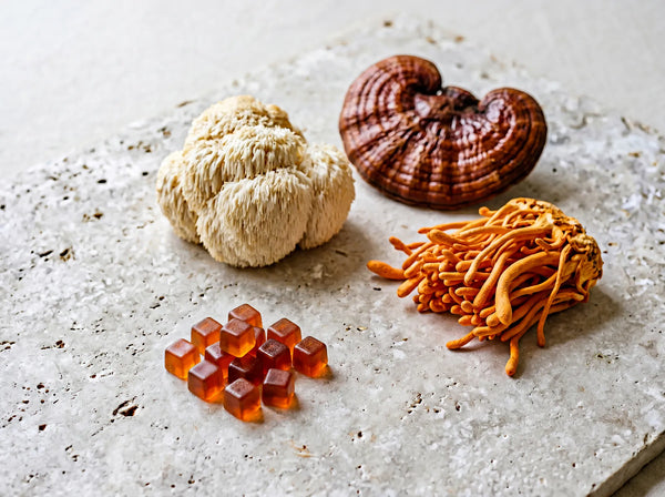 Functional Mushrooms vs Psychedelic Mushrooms
