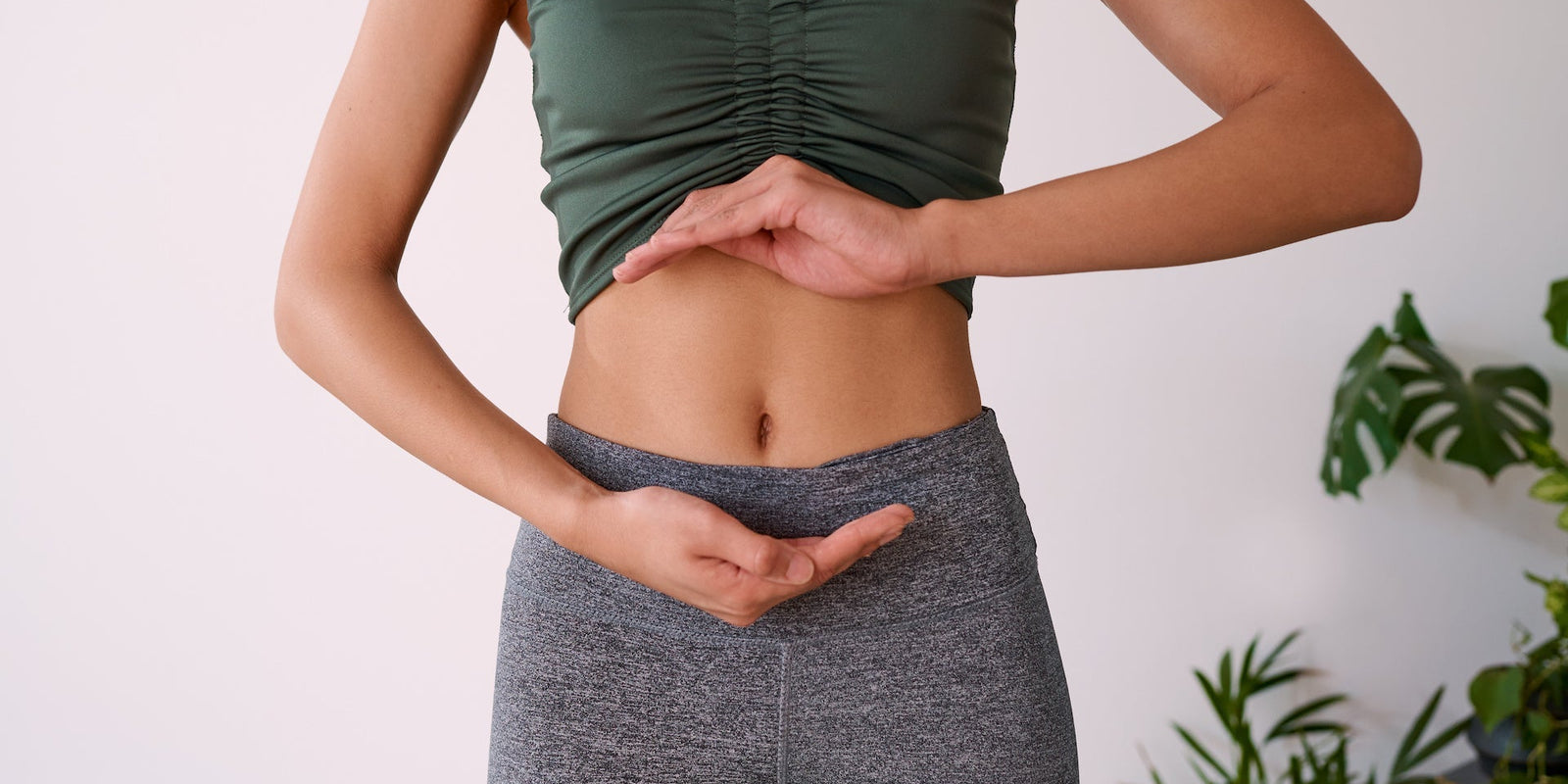 Gut Health - Boosting Immune Health - - Health benefits - Holistic Wellness -  Energy - Sleep - Mood Balance - Brain Health - Lion’s Mane - Reishi - Cordyceps - Troomy Nootropics in Whittier, CA
