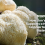 lions mane for nervous system immunity focus gummies