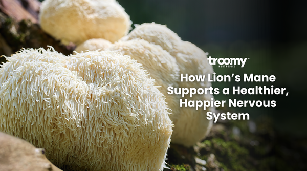 lions mane for nervous system immunity focus gummies