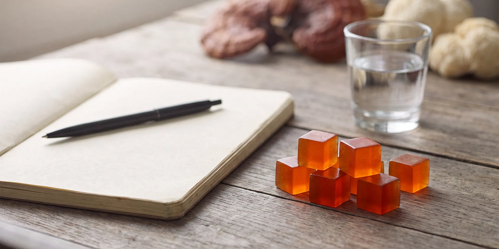 How Long Do Mushroom Gummies Take to Work