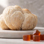 Is Lion's Mane a Nootropic