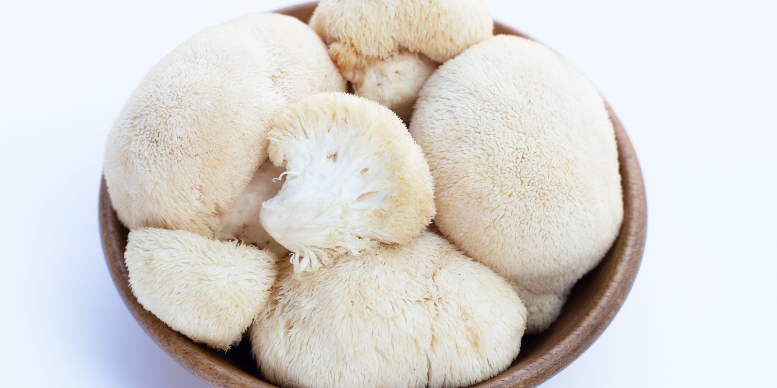 Lion’s Mane Mushroom - Brain Cognition - Mental Clarity - Focus Support - Brain Support - Troomy Nootropics in Whittier, CA