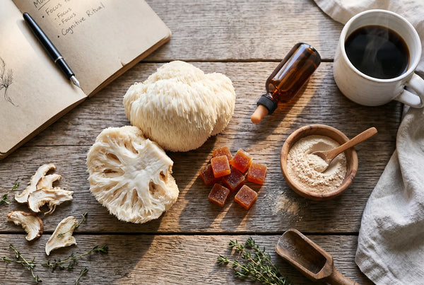 Lion's Mane Mushrooms