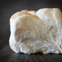 Lion’s Mane Mushroom - Brain Cognition - Mental Clarity - Focus Support - Brain Support - Troomy Nootropics in Whittier, CA