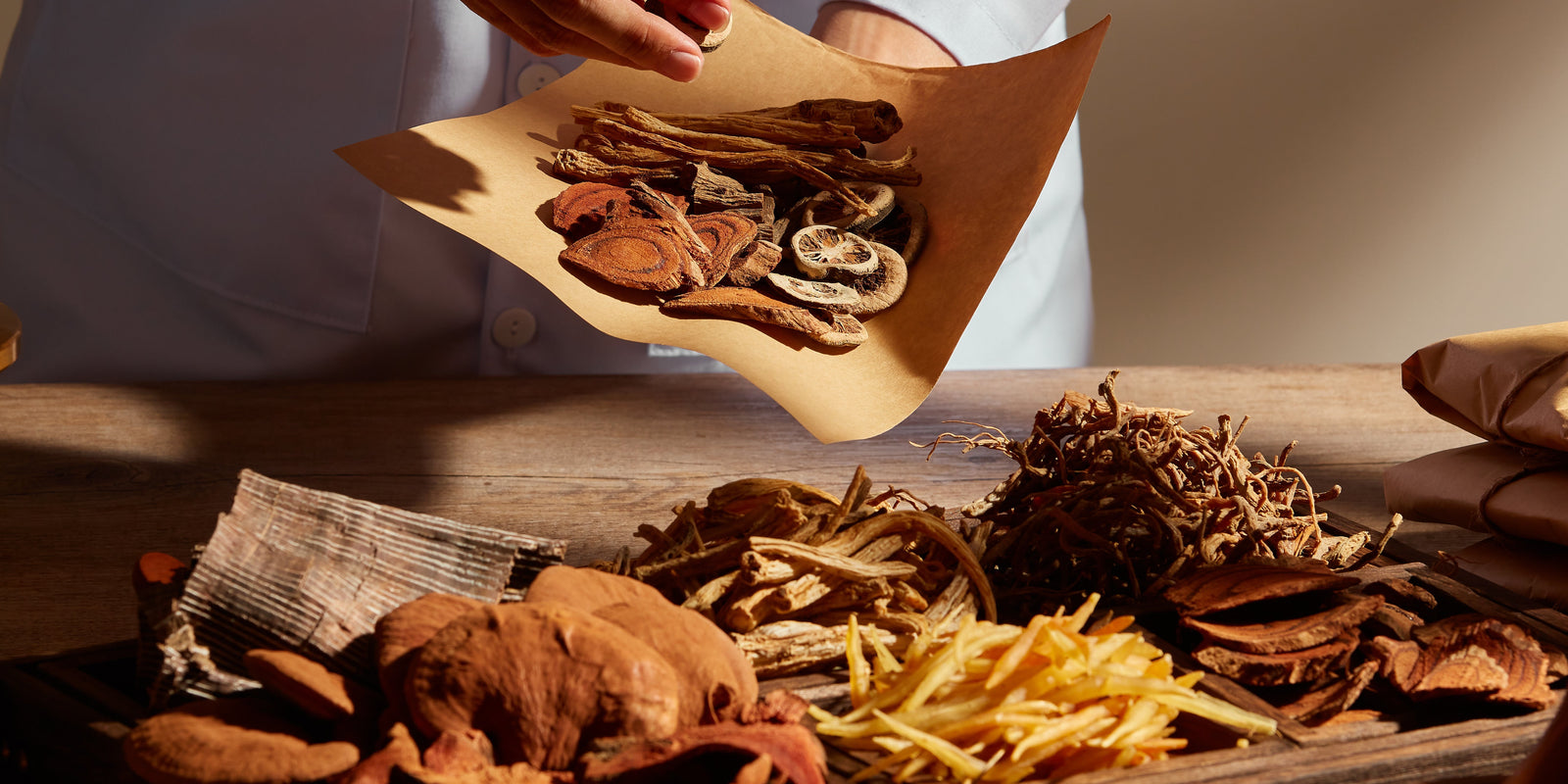 Functional Mushrooms  - Health benefits - Holistic Wellness -  Energy - Sleep - Mood Balance - Brain Health - Lion’s Mane - Reishi - Cordyceps - Troomy Nootropics in Whittier, CA