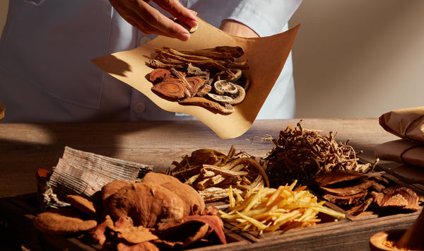 Functional Mushrooms  - Health benefits - Holistic Wellness -  Energy - Sleep - Mood Balance - Brain Health - Lion’s Mane - Reishi - Cordyceps - Troomy Nootropics in Whittier, CA